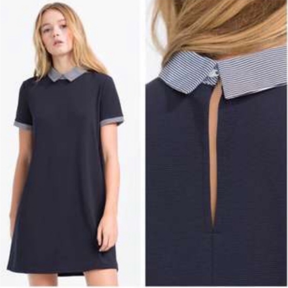 Zara Dress with Collar
